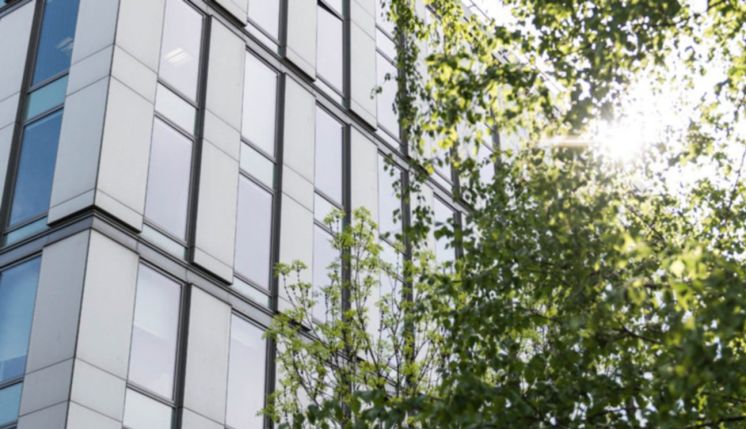 GTC i&nbsp;WWF Polska podsumowują rok współpracy