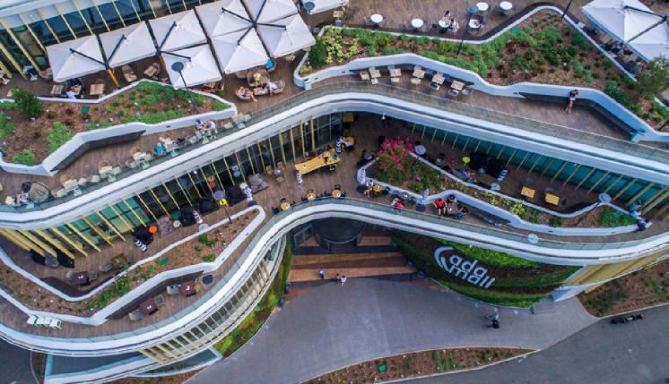 Pedja Petronijevic ustępuje z&nbsp;zarządu GTC